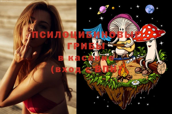 apvp Нея