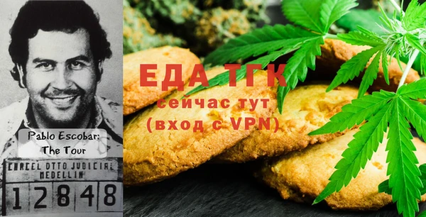 прущий лед Новозыбков