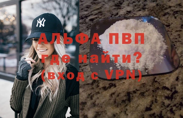 прущий лед Новозыбков