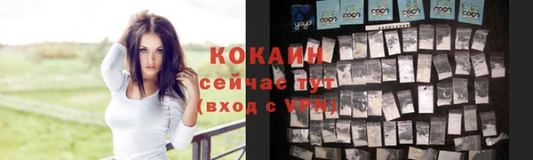 прущий лед Новозыбков