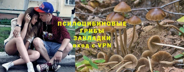 apvp Нея